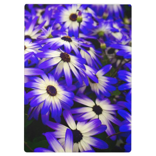 Heldere blauwe en witte digitale bloemen klembord (Achterkant)