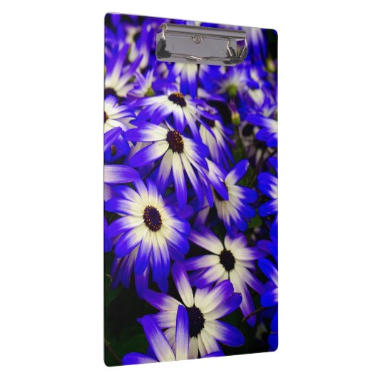 Heldere blauwe en witte digitale bloemen klembord (Rechts)