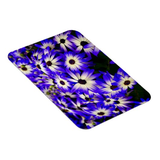 Heldere blauwe en witte digitale bloemen magneet (Rechterzijde)