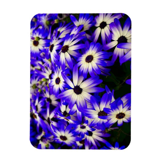 Heldere blauwe en witte digitale bloemen magneet (Verticaal)
