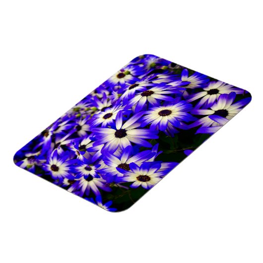 Heldere blauwe en witte digitale bloemen magneet (Linkerzijde)