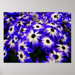 Heldere blauwe en witte digitale bloemen poster