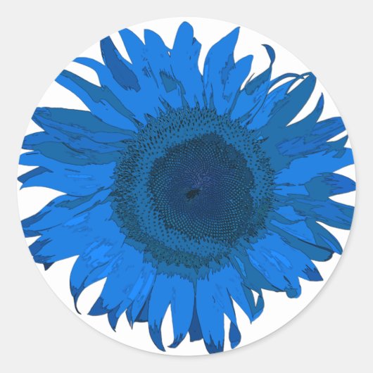 Heldere blauwe en witte Pop zonnebloem Ronde Sticker (Voorkant)