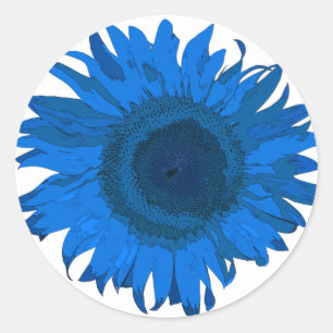 Heldere blauwe en witte Pop zonnebloem Ronde Sticker
