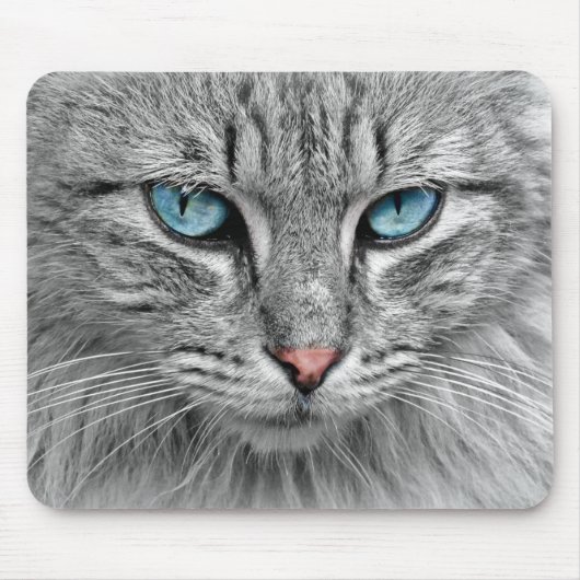 Heldere blauwe ogen | Monochroom | Kat Portrait Muismat (Voorkant)