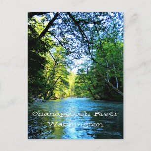 Heldere blauwe rivier onder groene bomen in Washin Briefkaart