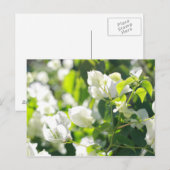 heldere bloemen briefkaart (Voorkant / Achterkant)