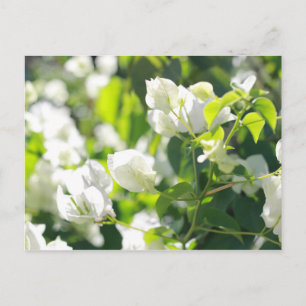 heldere bloemen briefkaart
