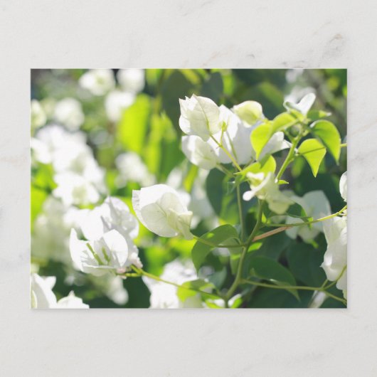 heldere bloemen briefkaart (Voorkant)