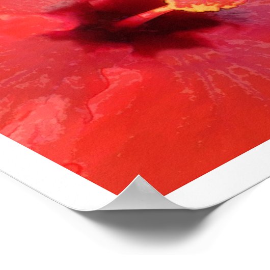 Heldere bloemen poster (Hoek)