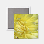 Heldere, citroengele Dahlia Magneet (Voorkant / Achterkant)