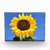 Heldere gele zonnebloem fotoblokken (Voorkant)