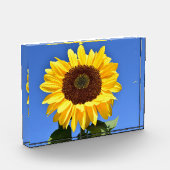 Heldere gele zonnebloem fotoblokken (Links)