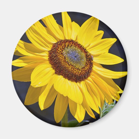 Heldere gele zonnebloem magneet (Voorkant)
