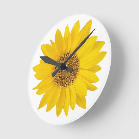 Heldere gele zonnebloem op witte achtergrond ronde klok (Hoek)