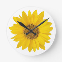 Heldere gele zonnebloem op witte achtergrond