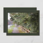 Heldere glinsterende groenblijvende naalden Modern Briefkaart (Voorkant / Achterkant)