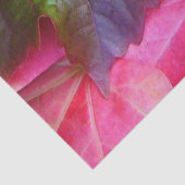 Heldere herfst laat rood groen goud over tissuepapier (Detail)