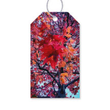 Heldere herfstbladeren