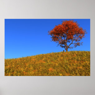 Heldere herfstdagprint poster