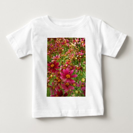 Heldere Hot Pink en gele Daisy bloemen (Voorkant)