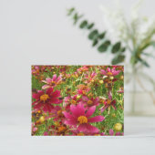 Heldere Hot Pink en gele Daisy bloemen Briefkaart (Staand voorkant)