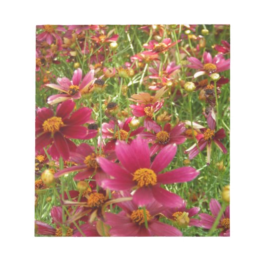 Heldere Hot Pink en gele Daisy bloemen Notitieblok (Voorkant)