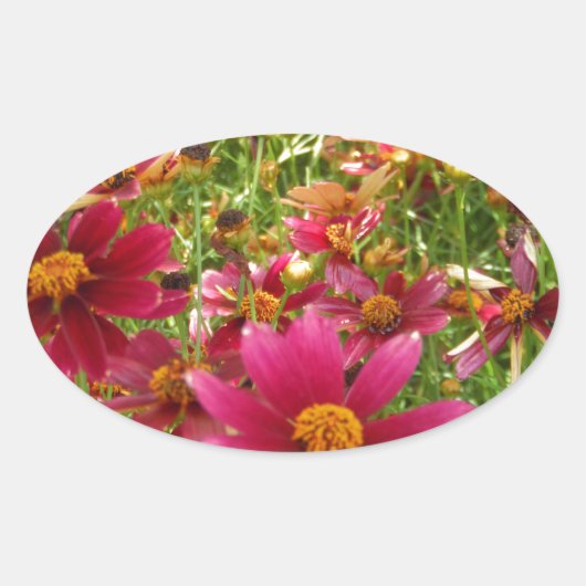 Heldere Hot Pink en gele Daisy bloemen Ovale Sticker (Voorkant)