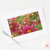 Heldere Hot Pink en gele Daisy bloemen Rechthoekige Sticker (Envelop)