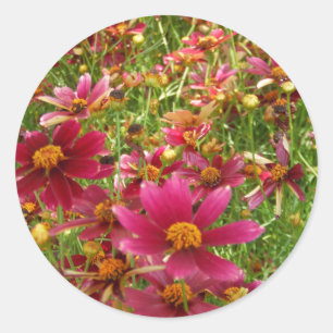 Heldere Hot Pink en gele Daisy bloemen Ronde Sticker