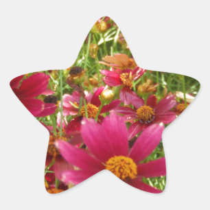 Heldere Hot Pink en gele Daisy bloemen Ster Sticker