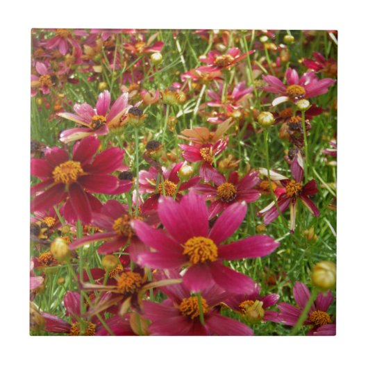 Heldere Hot Pink en gele Daisy bloemen Tegeltje (Voorkant)