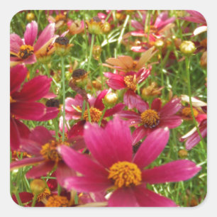 Heldere Hot Pink en gele Daisy bloemen Vierkante Sticker