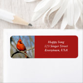 Heldere kardinale adreslabels (witte tekst) etiket (Insitu)