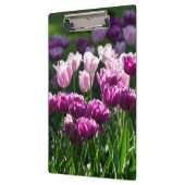 Heldere lila en roze tulpen op een zonnige dag klembord (Links)