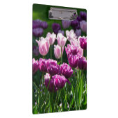 Heldere lila en roze tulpen op een zonnige dag klembord (Rechts)