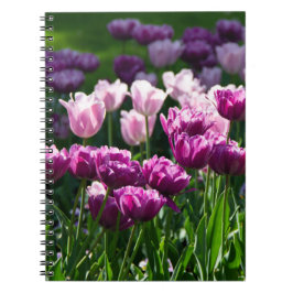 Heldere lila en roze tulpen op een zonnige dag notitieboek
