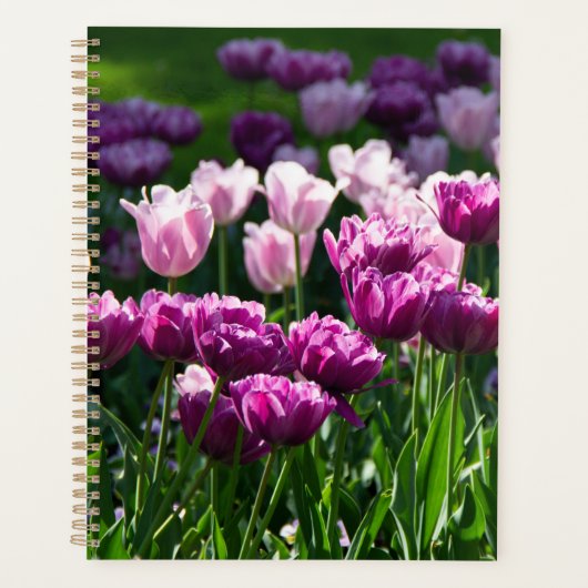 Heldere lila en roze tulpen op een zonnige dag planner (Voorkant)