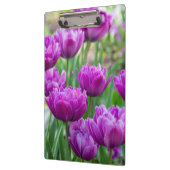 Heldere lila tulpen op een zonnige dag klembord (Links)