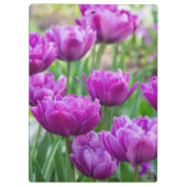 Heldere lila tulpen op een zonnige dag klembord (Achterkant)