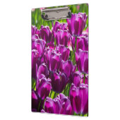 Heldere lila tulpen op een zonnige dag klembord (Links)
