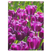 Heldere lila tulpen op een zonnige dag klembord (Achterkant)