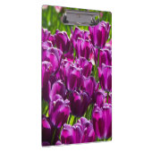 Heldere lila tulpen op een zonnige dag klembord (Rechts)