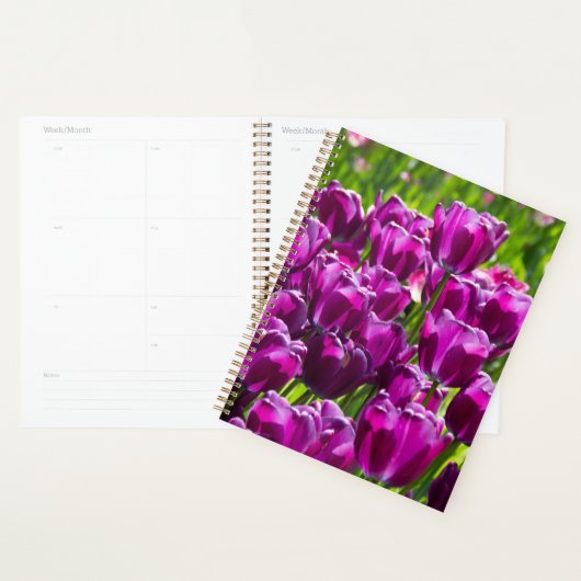 Heldere lila tulpen op een zonnige dag planner (Display)
