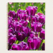 Heldere lila tulpen op een zonnige dag planner (Voorkant)