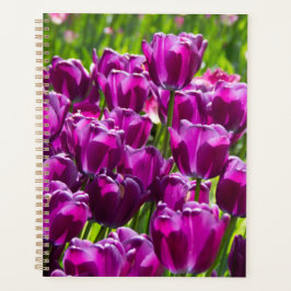 Heldere lila tulpen op een zonnige dag planner