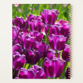 Heldere lila tulpen op een zonnige dag planner (Achterkant)