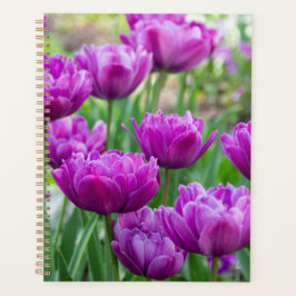 Heldere lila tulpen op een zonnige dag planner