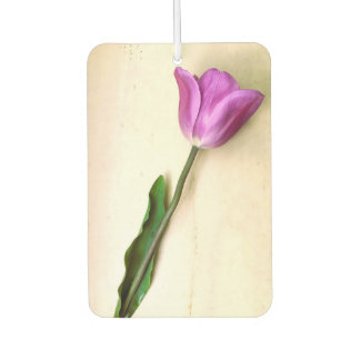 Heldere magenta tulp luchtverfrisser