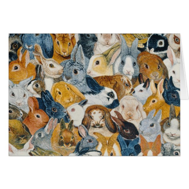 Heldere ogen (Voorkant Horizontaal)